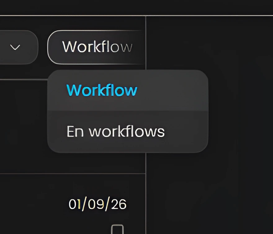 Opciones de Workflow